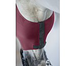 Fliegenmaske Stretch Comfort mit Nsternschutz und RV