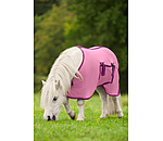 Fohlen und Minishetty Fliegendecke Kubi Fly