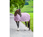 Fliegendecke Economy Light