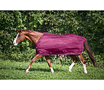 Fliegendecke Economy Light