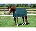 Fliegendecke Economy Light