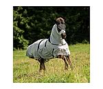 Isländer Ekzemerdecke
