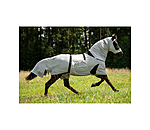 Isländer Ekzemerdecke