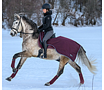 Regen-Ausreitdecke Kallie mit Fleecefutter, 50 g