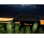 Amigo 1200D FieldSafe Reflectech Plus Turnout, 100 g