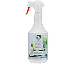 Schweifspray Aloe Vera