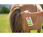 Eczemolin Spray für Pferde