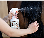 Sprhshampoo Fresh Coconut