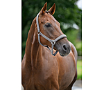 Halfter Superg�nstig ll&nbsp;