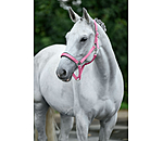 Halfter Superg�nstig ll&nbsp;