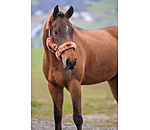 Teddyfleece-Halfter Protection
