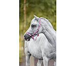 Fohlen- und Shettyhalfter Grow with You