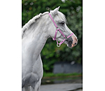 Fohlen- und Shettyhalfter Grow with You