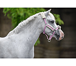 Fohlen- & Shetty-Teddyfleece-Halfter Cozy Adjustable