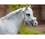 Fohlen- & Shetty-Teddyfleece-Halfter Cozy Adjustable