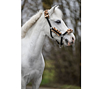 Fohlen- & Shetty-Teddyfleece-Halfter Cozy Adjustable