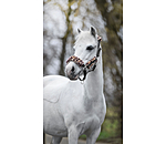 Fohlen- & Shetty-Teddyfleece-Halfter Cozy Adjustable