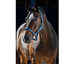 Halfter Twinkle