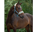 Halfter Shimmering Stripes