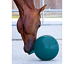 Pferdespielball