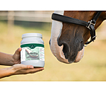 Spirulina-Pellets