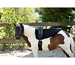 Voltigiergurt Entrance