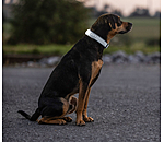 Reflex Hundehalsband