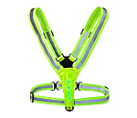 LED Reflexgurt USB