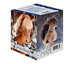 Adventskalender mit 10.- Gutschein oder hher