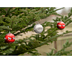 Weihnachtskugel-Set