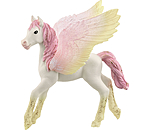 Sunrise Pegasus Fohlen