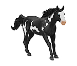 Paint Horse Wallach
