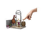 Sofia's Pferdewaschplatz