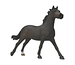 Englische Vollblut Stute