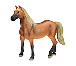Play series Belgische Warmblut