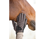 Winter-Reithandschuh Softshell