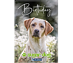 Geschenkgutschein zum Ausdrucken