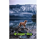 Geschenkgutschein zum Ausdrucken