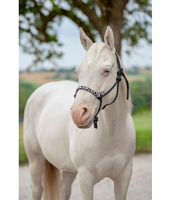 Knotenhalfter Beaded