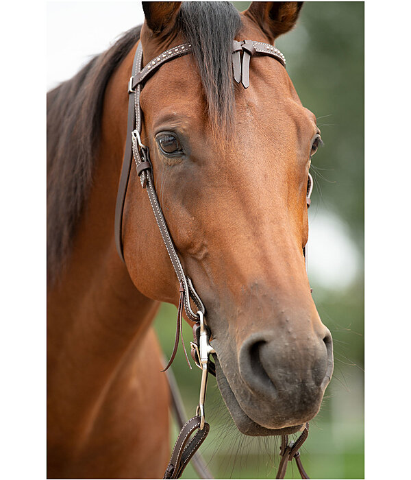 Mix & Match Futurity Knot Browband Dots