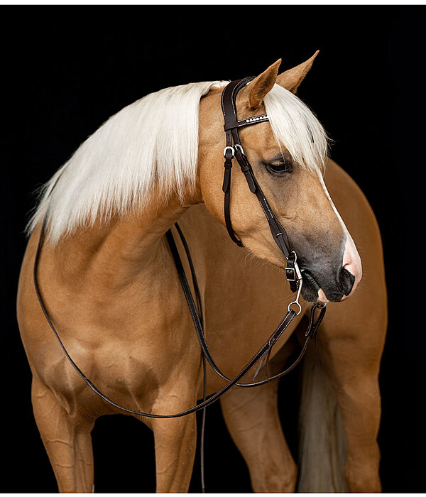 Mix & Match Futurity Knot Browband Crystal