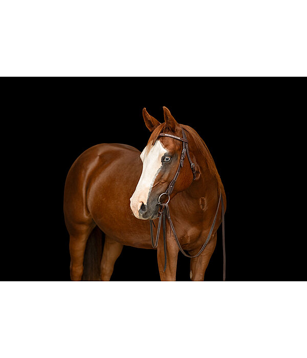 Mix & Match Futurity Knot Browband Crystal