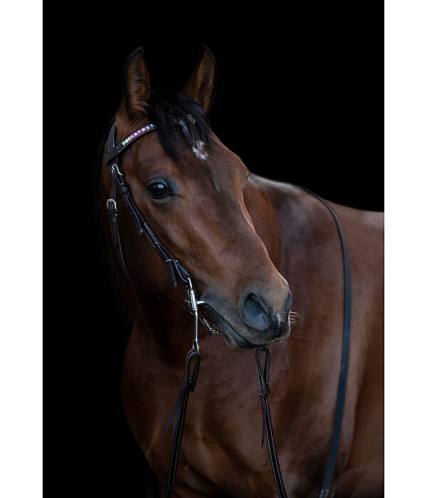 Mix & Match Futurity Knot Browband Crystal