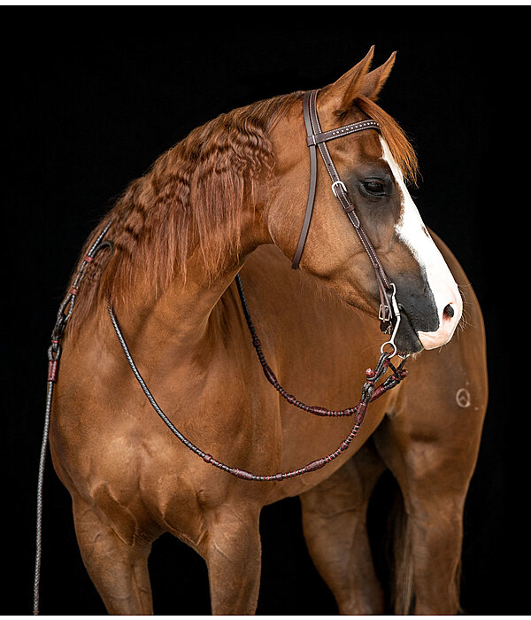 Mix & Match V-shaped Browband Dots