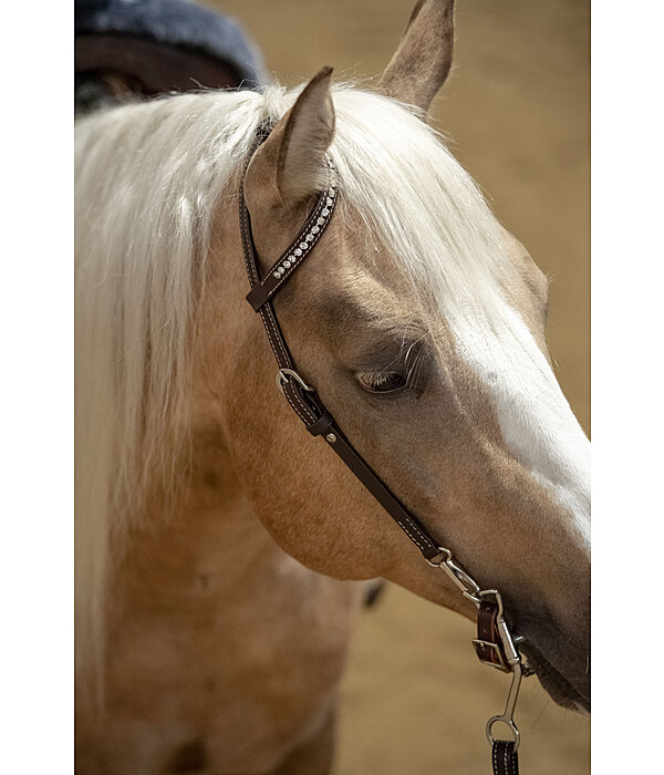 Mix & Match Futurity Knot Browband Pearls