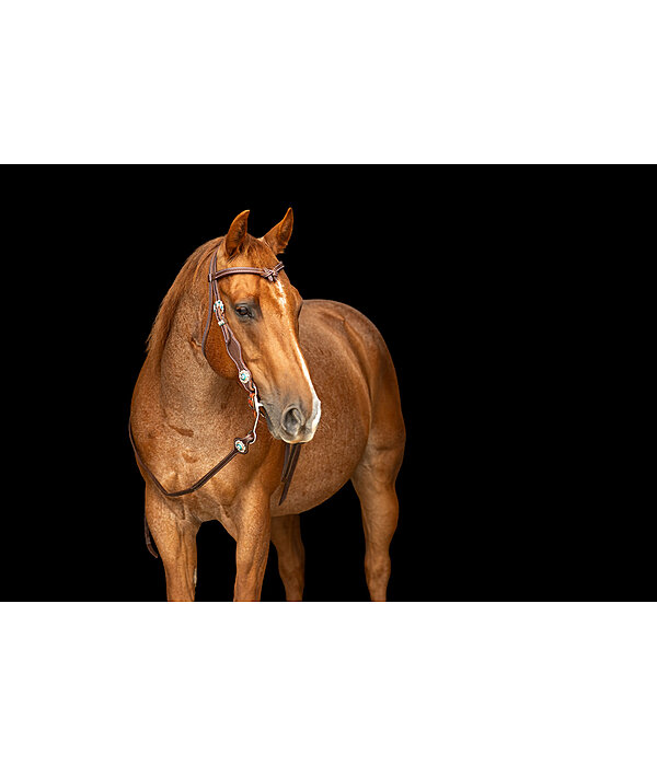 Kopfst�ck Crystal Dream