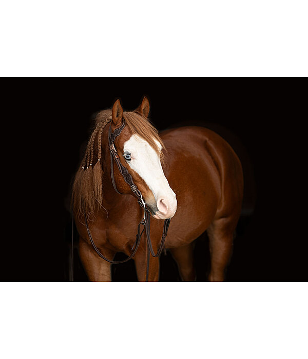 Westernkopfstck Copper