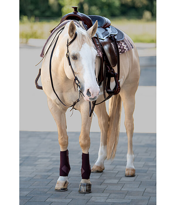 Einohr-Trainingskopfstück Harness