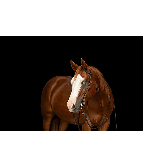 Einohr-Trainingskopfst�ck Harness