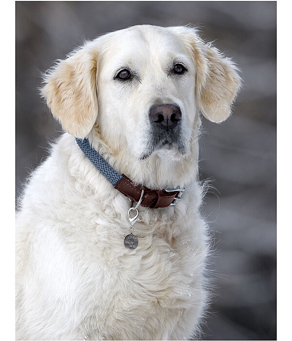 Hundehalsband Rope
